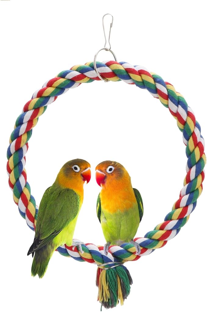 Bird Rope Swing Colorful Perch Climbing Toy by Wontee