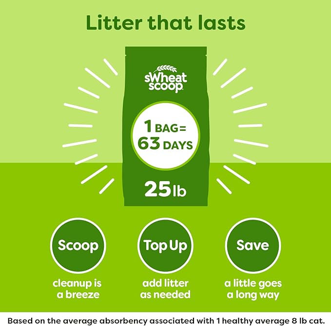 sWheat Scoop Natural Wheat Multi-Cat Litter, Superior Clumping - Image 6