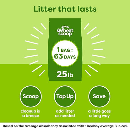 sWheat Scoop Natural Wheat Multi-Cat Litter, Superior Clumping - Image 6