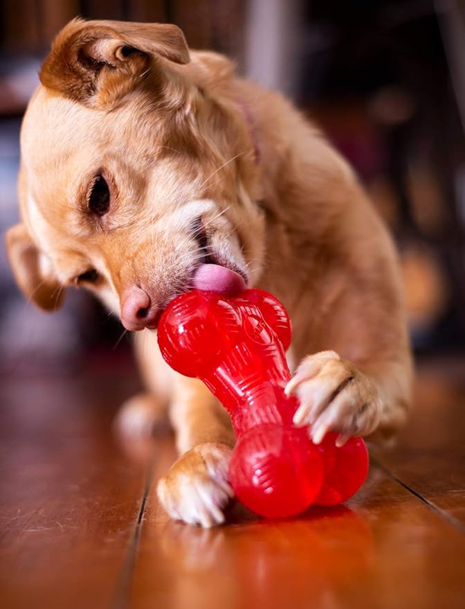 SPOT Play Strong Bone- Durable TPR Long Lasting Dog Chew - Image 5