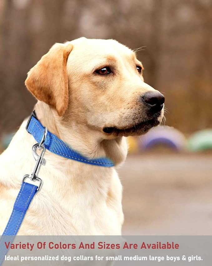 Reflective Dog Collar with Buckle Adjustable Safety Nylon Collars - Image 6