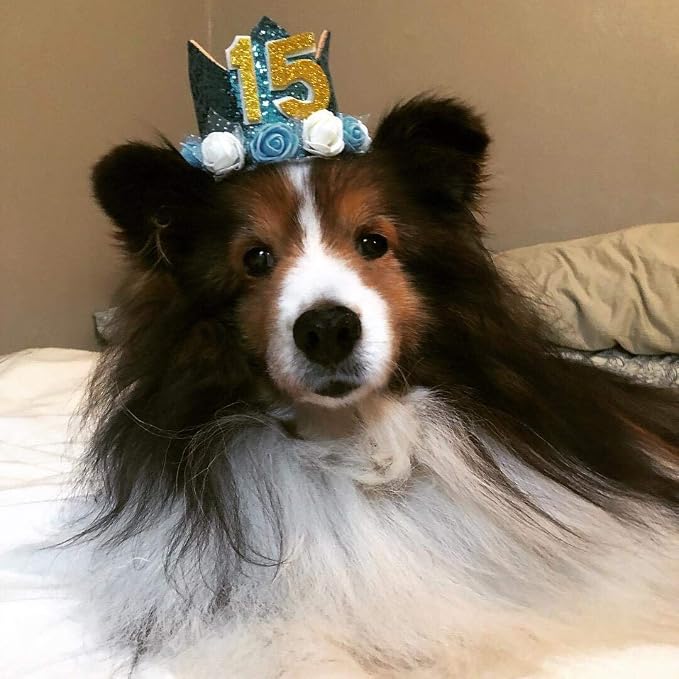 PET SHOW Blue Crown Dog Birthday Hat - Image 4