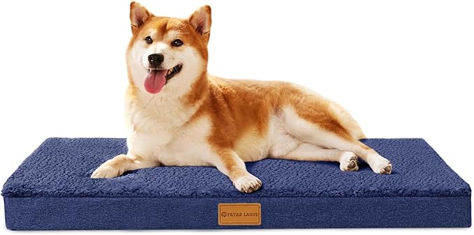 Patas Lague Orthopedic Dog Bed Large Sized Dog 36''X24'', Soft Waterproof Egg by PatasLague