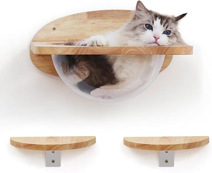 FUKUMARU Cat Wall Furniture Set, Transparent Capsule Kitten Walls Shelves by FUKUMARU