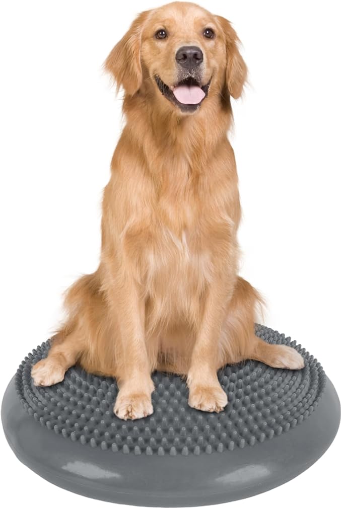 Dog Balance Disc 14", Dog Balance Equipment by Unknown