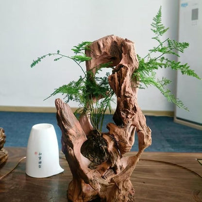 Natural Wood Aquarium Cave Betta Fish Hideout - Image 8