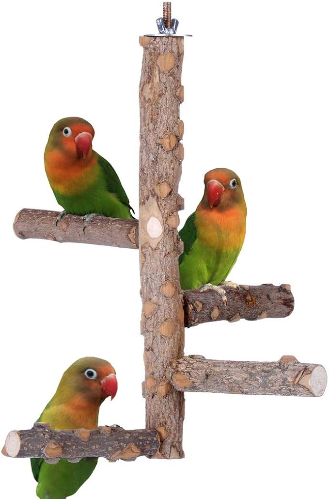 Bird Perch Nature Wood Stand for 3-4pcs Small Medium Parrots by KINTOR