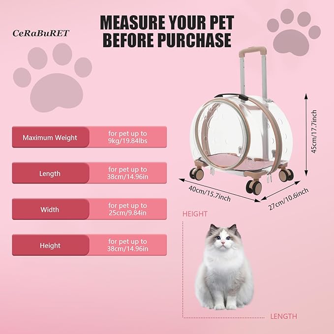 Transparent & Fully Breathable Hard Cat Carrier - Image 2