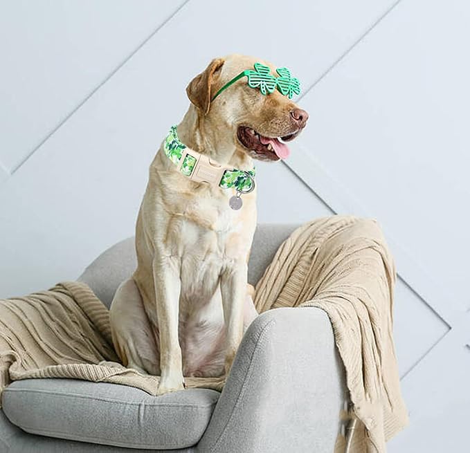 DOGWONG St. Patrick's Day Dog Collar - Image 4