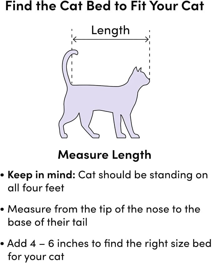 Small Cat Bed for Indoor Cats - Image 3