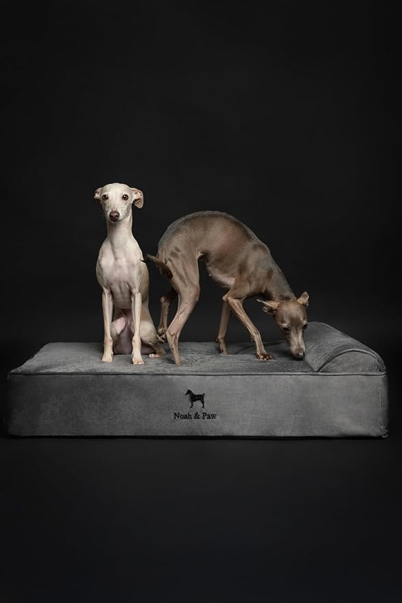 NOAH & PAW Large Dog Bed, Orthopedic Dog Beds, Eggshell Memory Foam Infused - Image 8