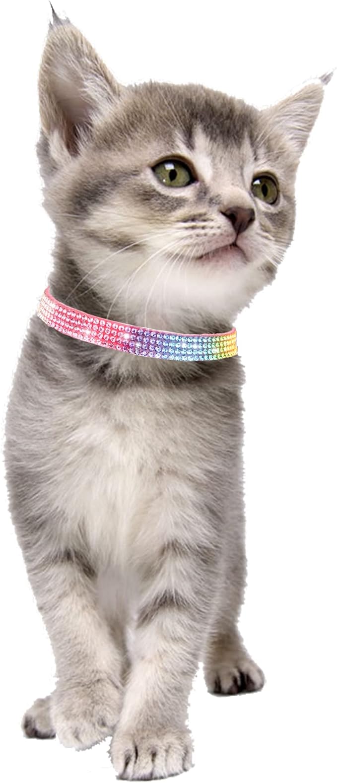 Solmoony Breakaway Cat Collars - Image 4