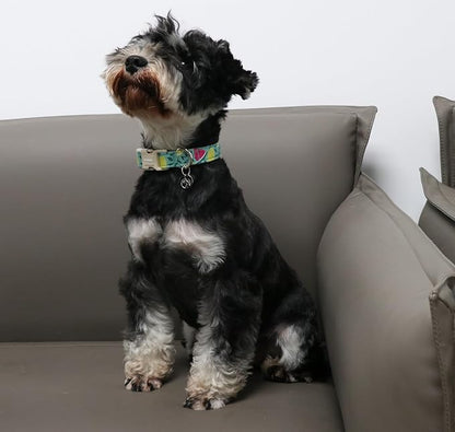 DOGWONG Cotton Dog Collar - Image 4