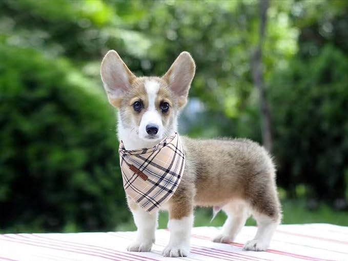 Lionet Paws Dog Bandana Washable Cotton Handkerchief Scarf Triangle Bandana - Image 5