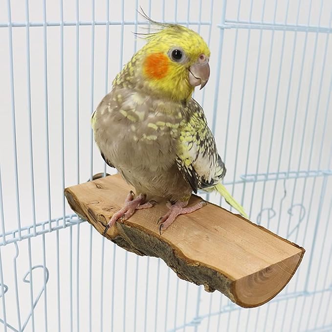 Hamiledyi Wood Bird Perch, Natural Wooden Stand Platform Parrot Cage Accessories - Image 3