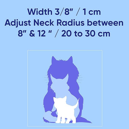 Pawtitas Glow in The Dark Cat Collar - Image 4