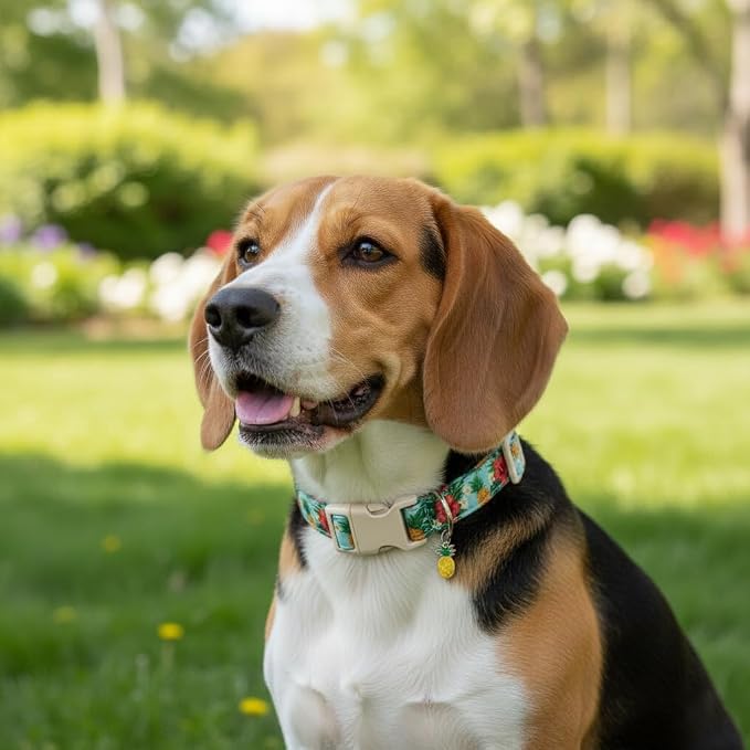 Summer Dog Collar with Tropical Pattern, Cute Dog Collar - Image 7