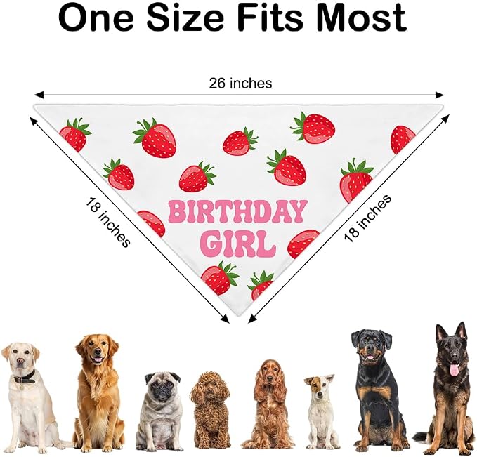 Birthday Girl White Dog Bandana, Cute Pet Scarf - Image 2