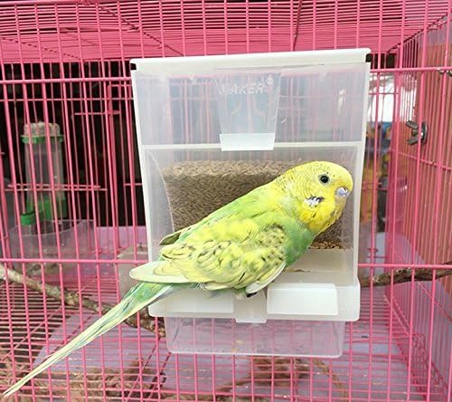 Hypeety Automatic Bird Feeder No Mess Pet Feeder Seed Food Container Perch Cage - Image 5