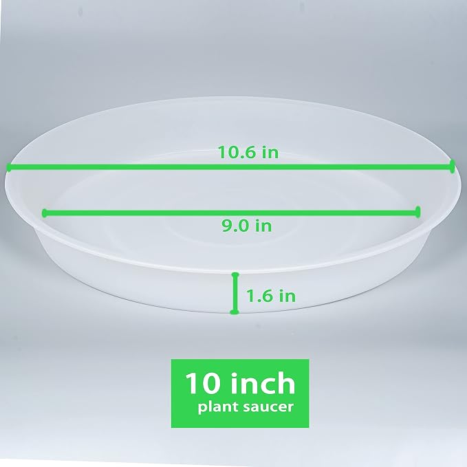 6 Pack of 10 inch Plant Saucer Clear, Heavy Duty Plastic Plant Saucer 10 inch - Image 2