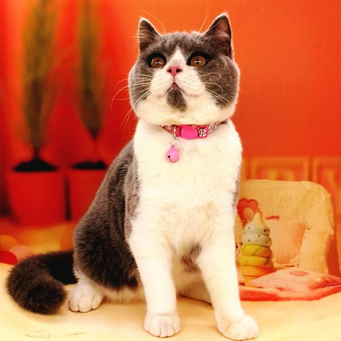 THAIN Basic Adjustable Cat Collar Bling Diamond Breakaway - Image 6