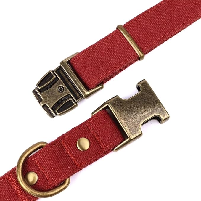 PET ARTIST Dog Collar for Large Dogs, Soft Padded Premium Nylon Dog Collar - Image 4