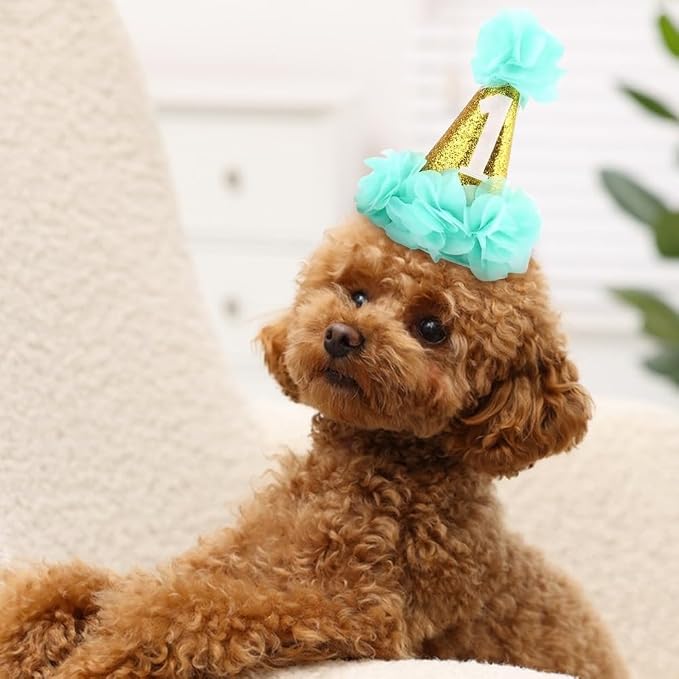 Stock Show 1st Pet Birthday Cone Hat Dogs Cats Holiday Party Hat Headwear - Image 4