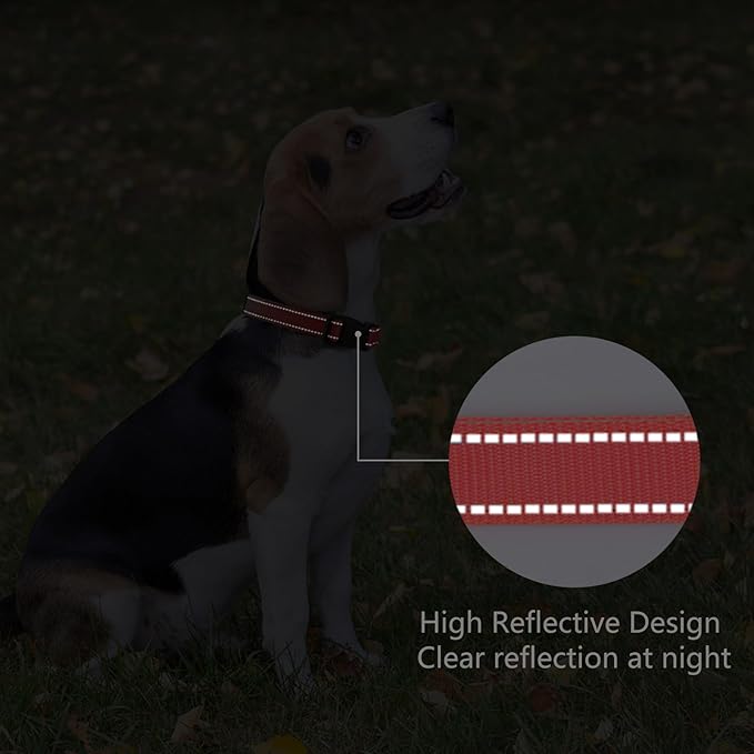 Reflective Dog Collar Padded - Image 5