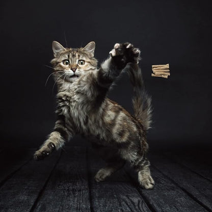 Cat Dancer Products 101 Interactive Cat Toy - Image 2