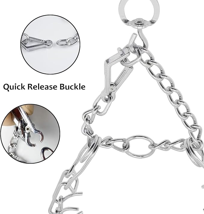 Prong Pinch Collar for Dogs - Image 4
