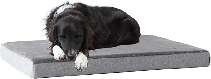Barkbox Orthopedic Dog Bed by BARK