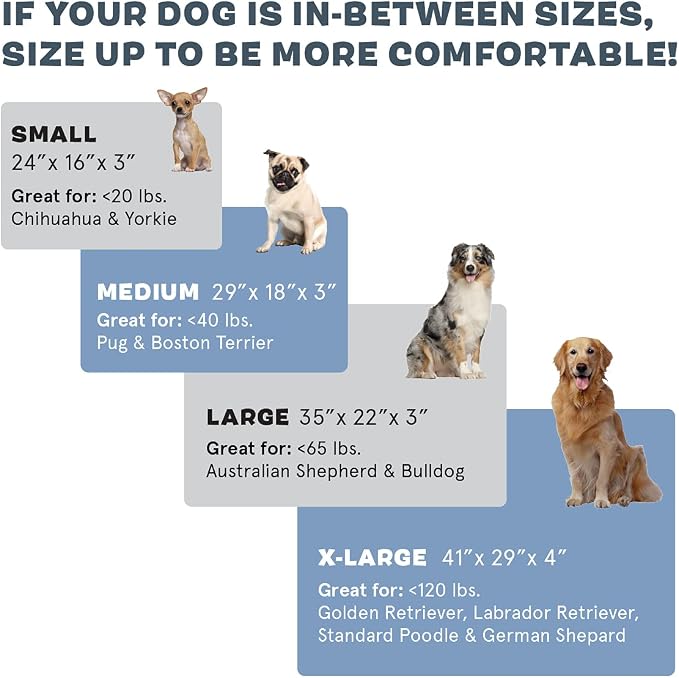 Barkbox Orthopedic Dog Bed | Comfortable Memory Foam Mattress - Image 4