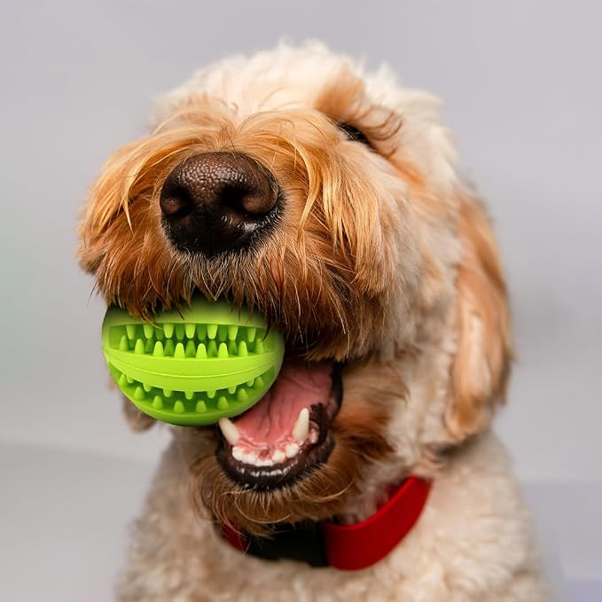 Interactive Pet Toy Balls, Treat Dispensing Ball - Image 8