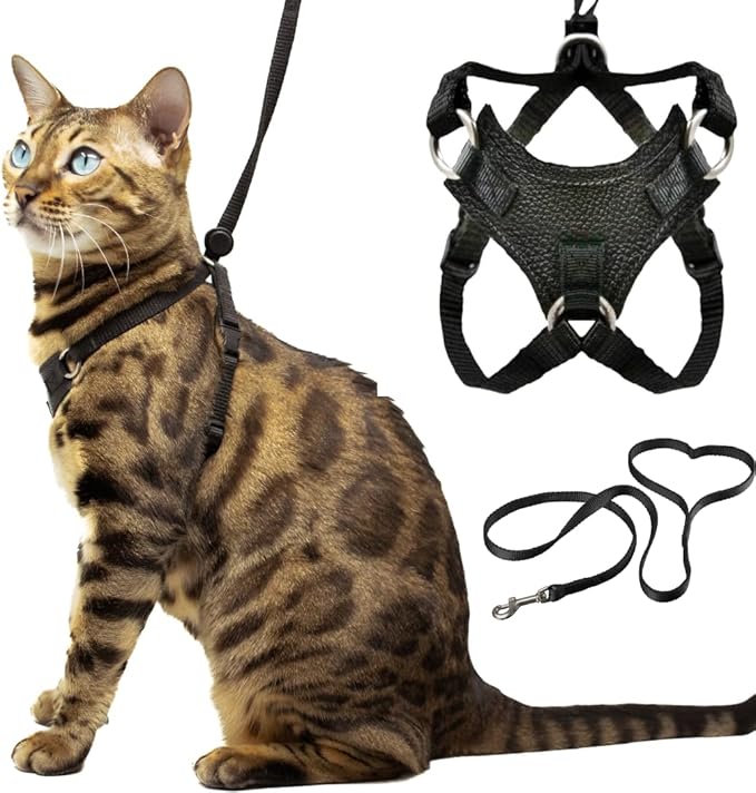 Houdini™ Escape Proof Cat Harness and Leash Set by OutdoorBengal by OutdoorBengal