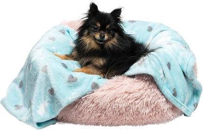 Juicy Couture Plush Flannel Pet Throw Blanket, Turquoise Juicy Scottie Hearts by JuicyCouture