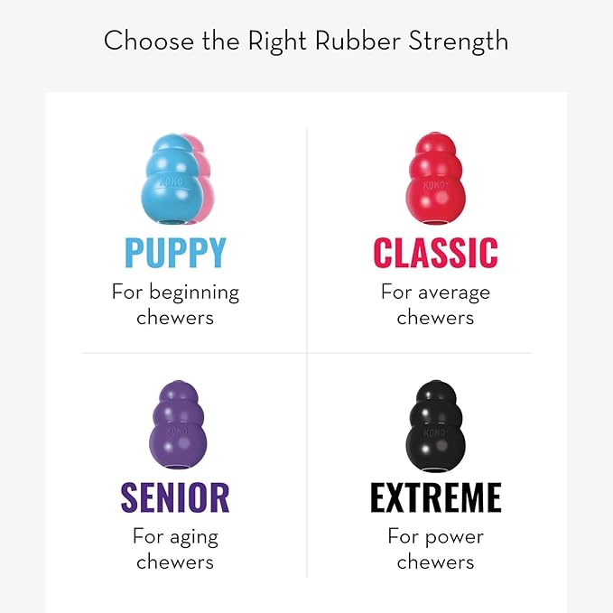 KONG - Puppy Toy Natural Teething Rubber - Fun to Chew, Chase and Fetch - - Image 6
