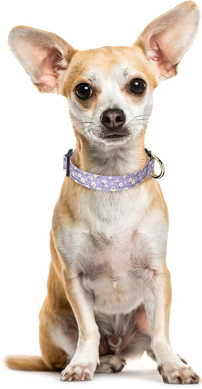 Reflective Dog Collar for Extra Small Dogs, Cute Flower Theme Adjustable - Image 2
