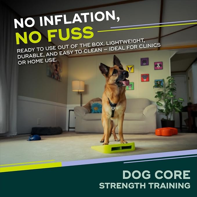 FitPAWS Balance Ramp | Dog Agility Equipment - Image 4