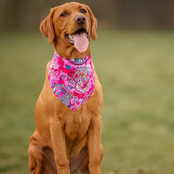 30 Pcs Paisley Dog Bandanas Bulk 33 Inche XL Stitch Dogs Bandanas Polyester - Image 5