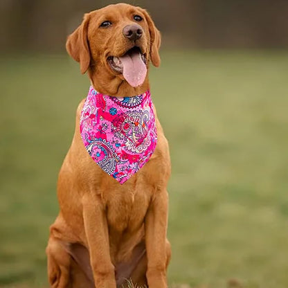 30 Pcs Paisley Dog Bandanas Bulk 33 Inche XL Stitch Dogs Bandanas Polyester - Image 5