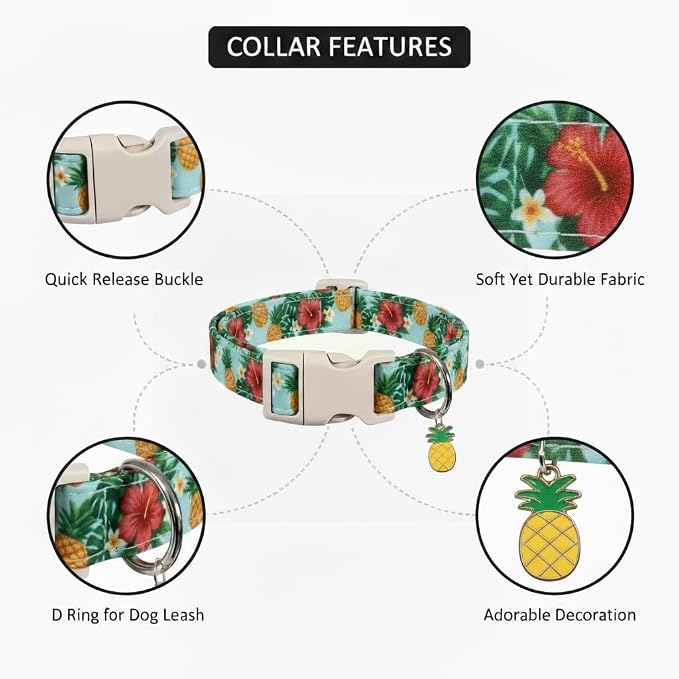 Summer Dog Collar with Tropical Pattern, Cute Dog Collar - Image 2