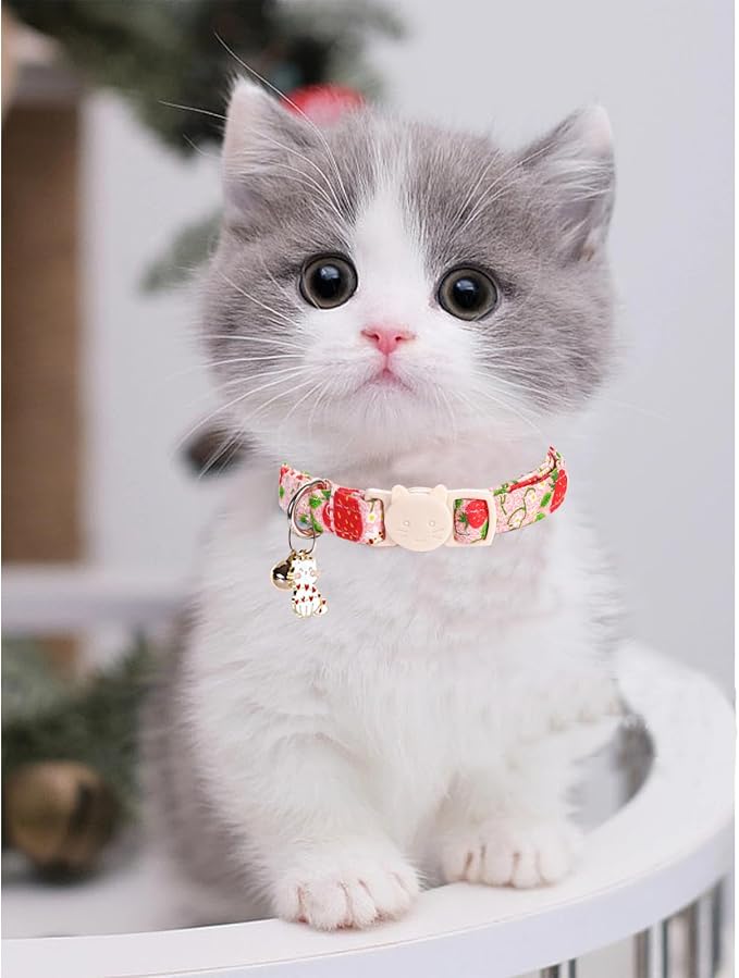 Cat Collar-2 Pack Cat Collars bee & Strawberry Cat Collar Breakaway - Image 6