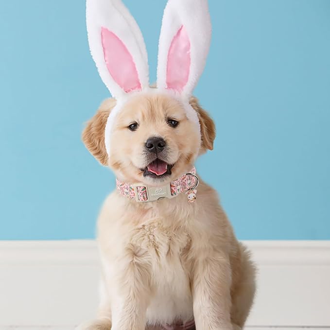 Easter Dog Collar for Small Dogs - Image 3