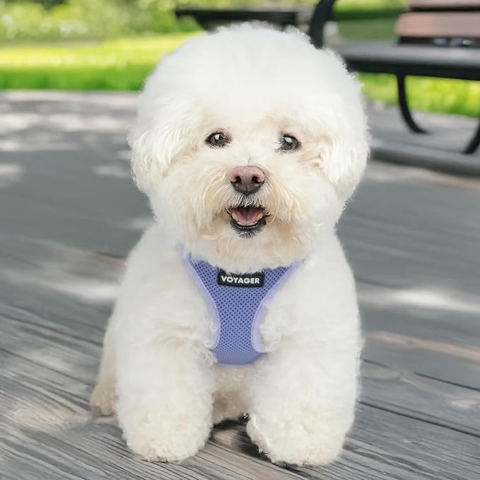 Best Pet Supplies Voyager Step-in Air Harness - Image 7