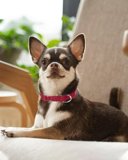 Dynmeow Soft and Breathable Cotton Dog Collar, Durable Adjustable Pet Collar - Image 7