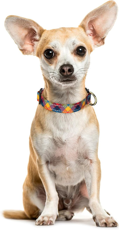 Reflective Dog Collar for Extra Small Dogs, Cute Boho Adjustable Heavy-Duty - Image 2