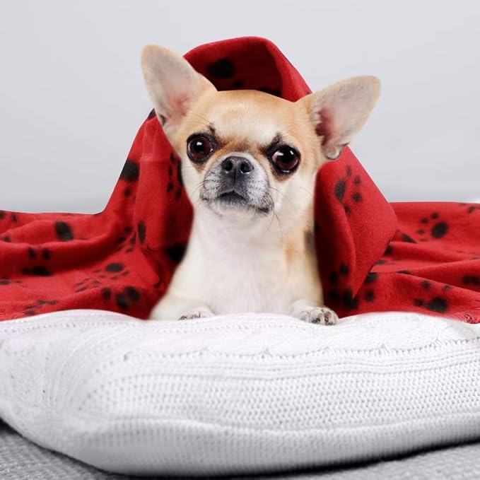 Comsmart Dog Blankets for Small Dogs, 6 Pack Puppy Blanket Cute Paw Print Pet - Image 5