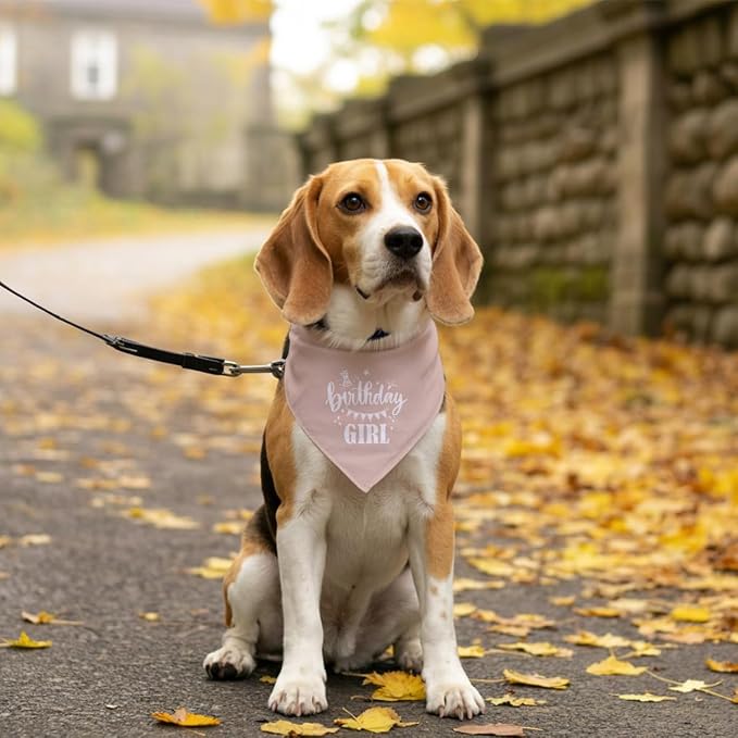 Birthday Girl Dog Bandana - Image 5