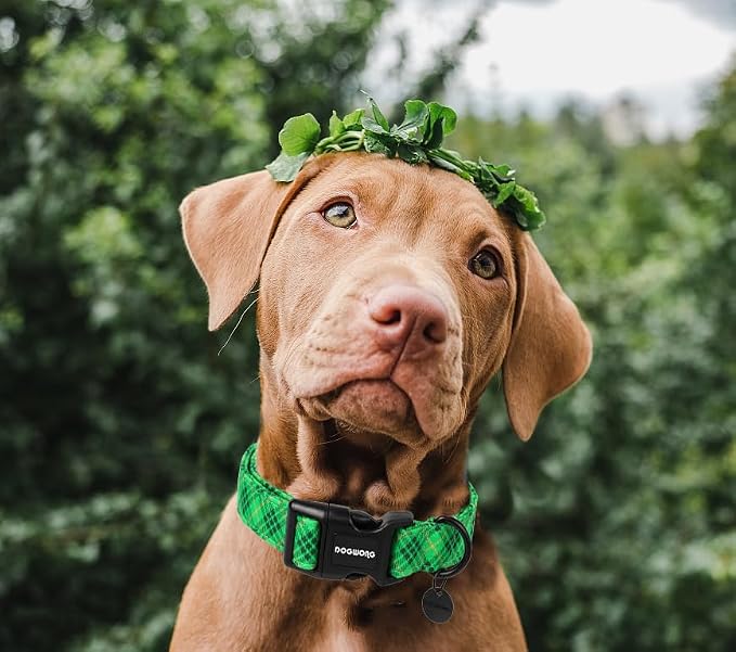 DOGWONG St. Patrick's Day Dog Collar - Image 4