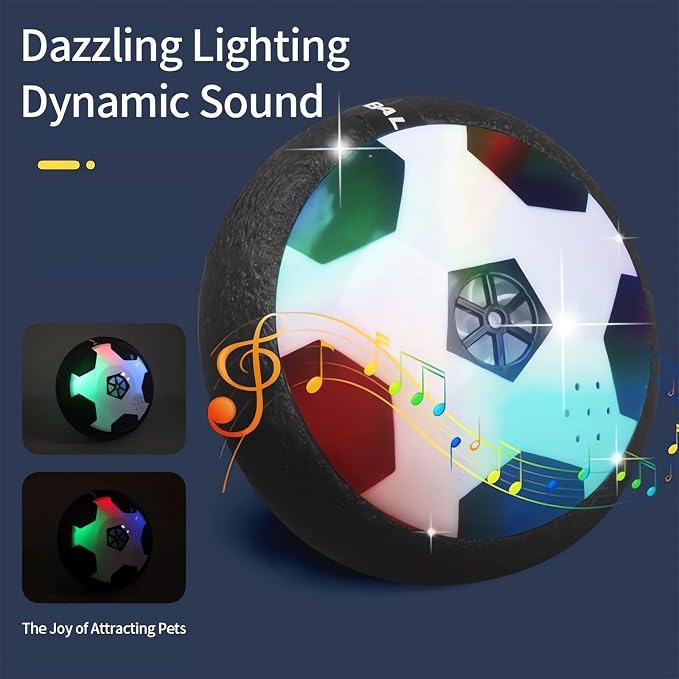 Ivieicip Active Gliding Disc - Image 2
